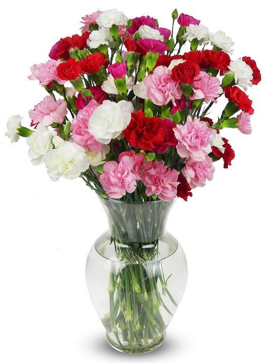 BENCHMARK BOUQUETS - 20 Stem Rainbow Mini Carnations (Glass Vase Included)